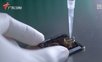 首页| w66集团中国最老牌官方网站