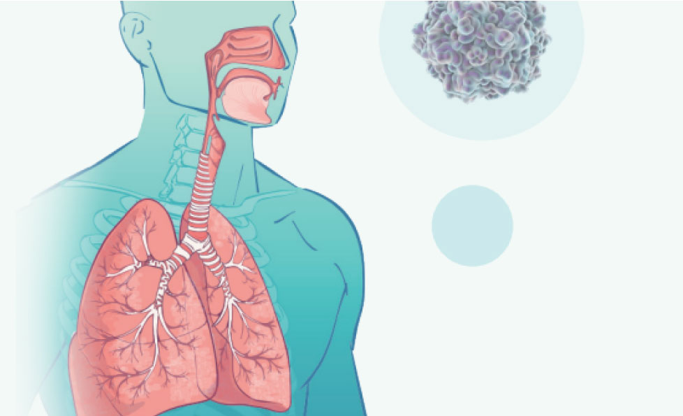 首页| w66集团中国最老牌官方网站