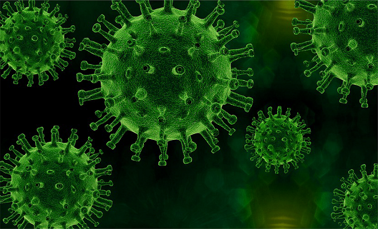 首页| w66集团中国最老牌官方网站