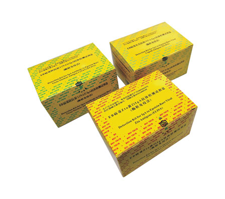 首页| w66集团中国最老牌官方网站